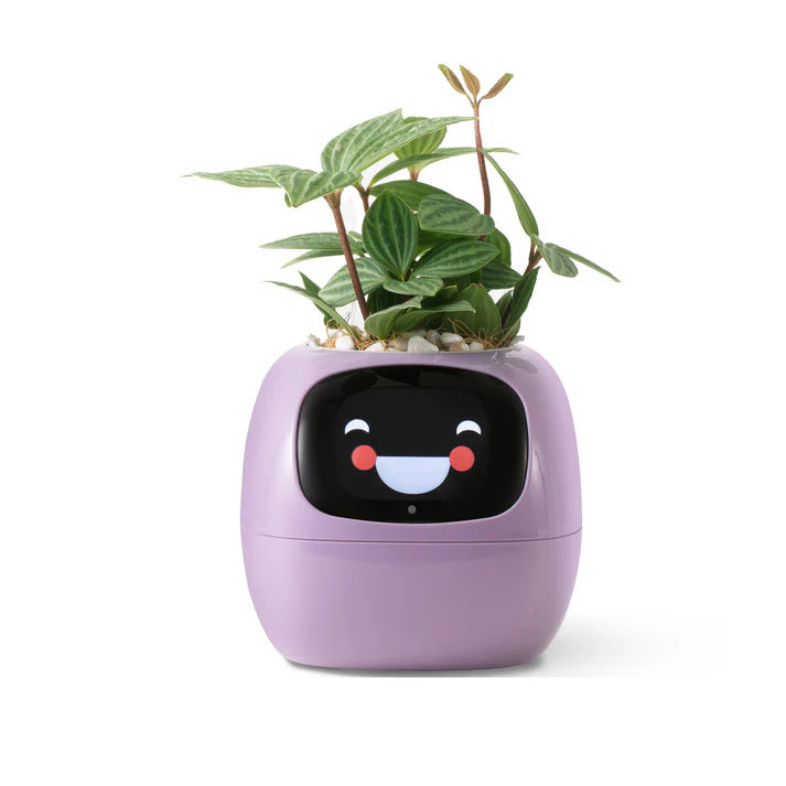 Plantsio 🌱 Ivy 智能萌寵小花盆｜書檯療癒陪伴｜AI 表情互動・智能監測．自動提醒淋水